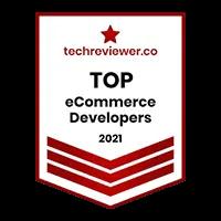 Top Ecommerce Developer